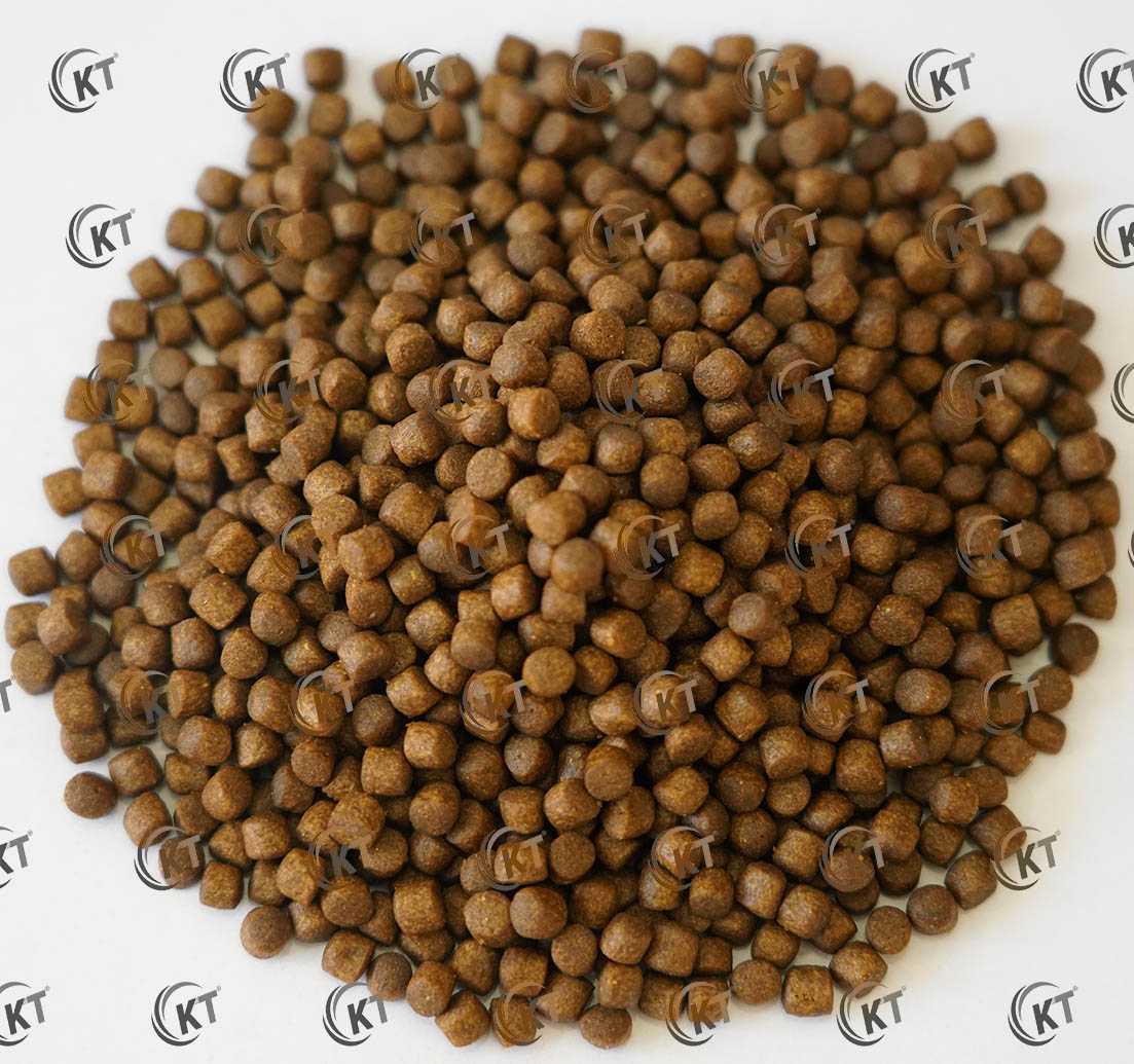 خوراک اکسترود ماهی قزل آلا کیمیاگران تغذیه (EXG2) بسته بندی 20 کیلوگرمی