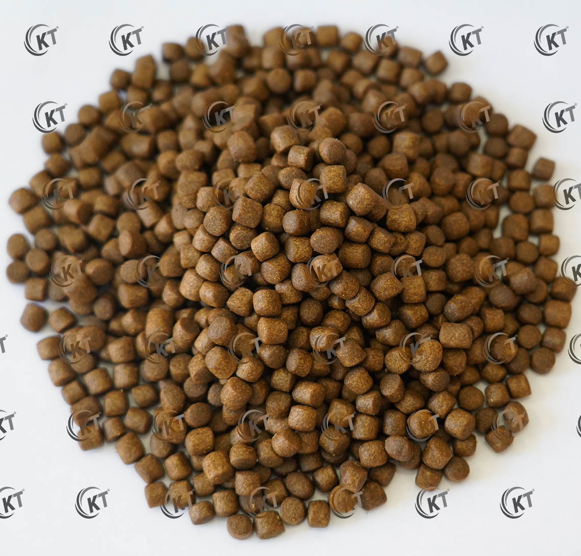 خوراک اکسترود ماهی قزل آلا کیمیاگران تغذیه (EXG3) بسته بندی 20 کیلوگرمی