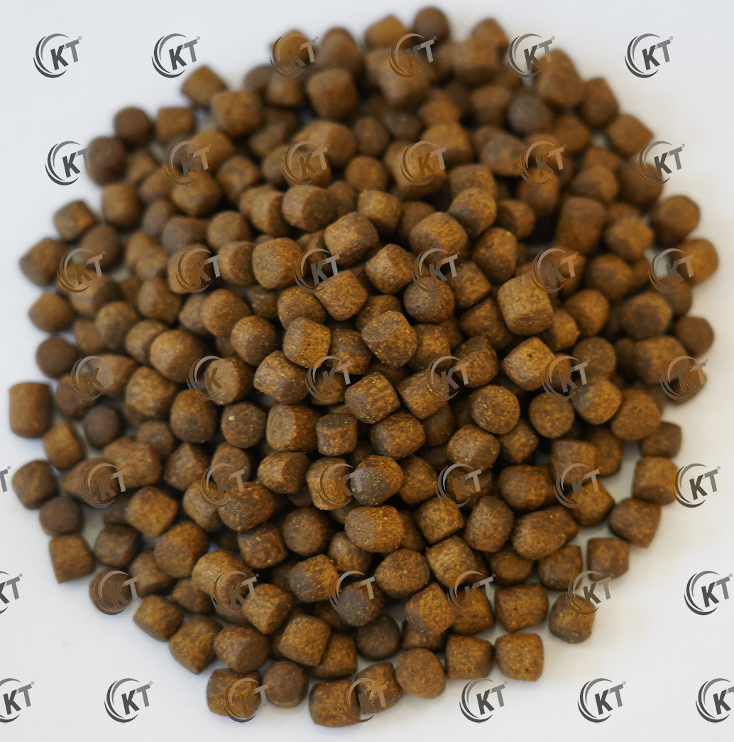 خوراک اکسترود ماهی قزل آلا کیمیاگران تغذیه (EXG4) بسته بندی 20 کیلوگرمی